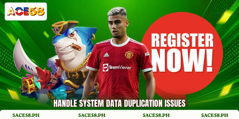 Handle system data duplication issues