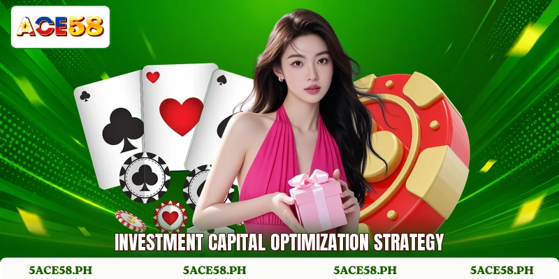 Investment capital optimization strategy