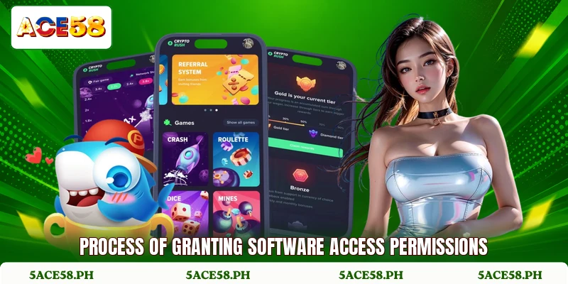 Process of granting software access permissions Process of granting software access permissions