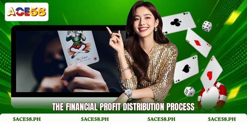 The financial profit distribution process