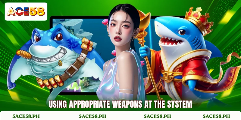 Using appropriate weapons at the system Using appropriate weapons at the system